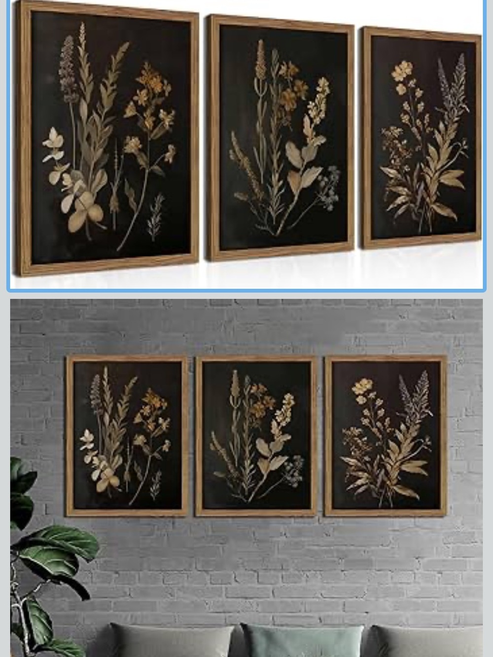 Botanical Trio Wall Art Set - Gold on Black